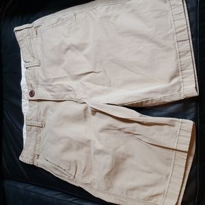 Hollister Men's Khaki Shorts